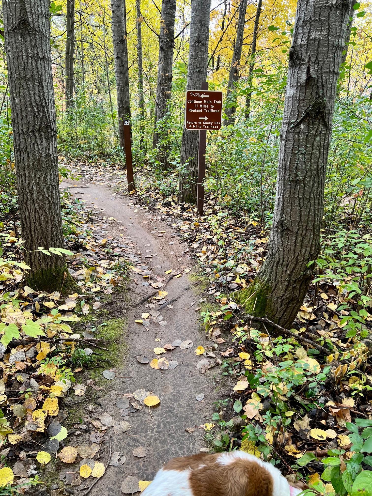 11832 Bren Road Hopkins, MN 55343 - Photo 49 of 55