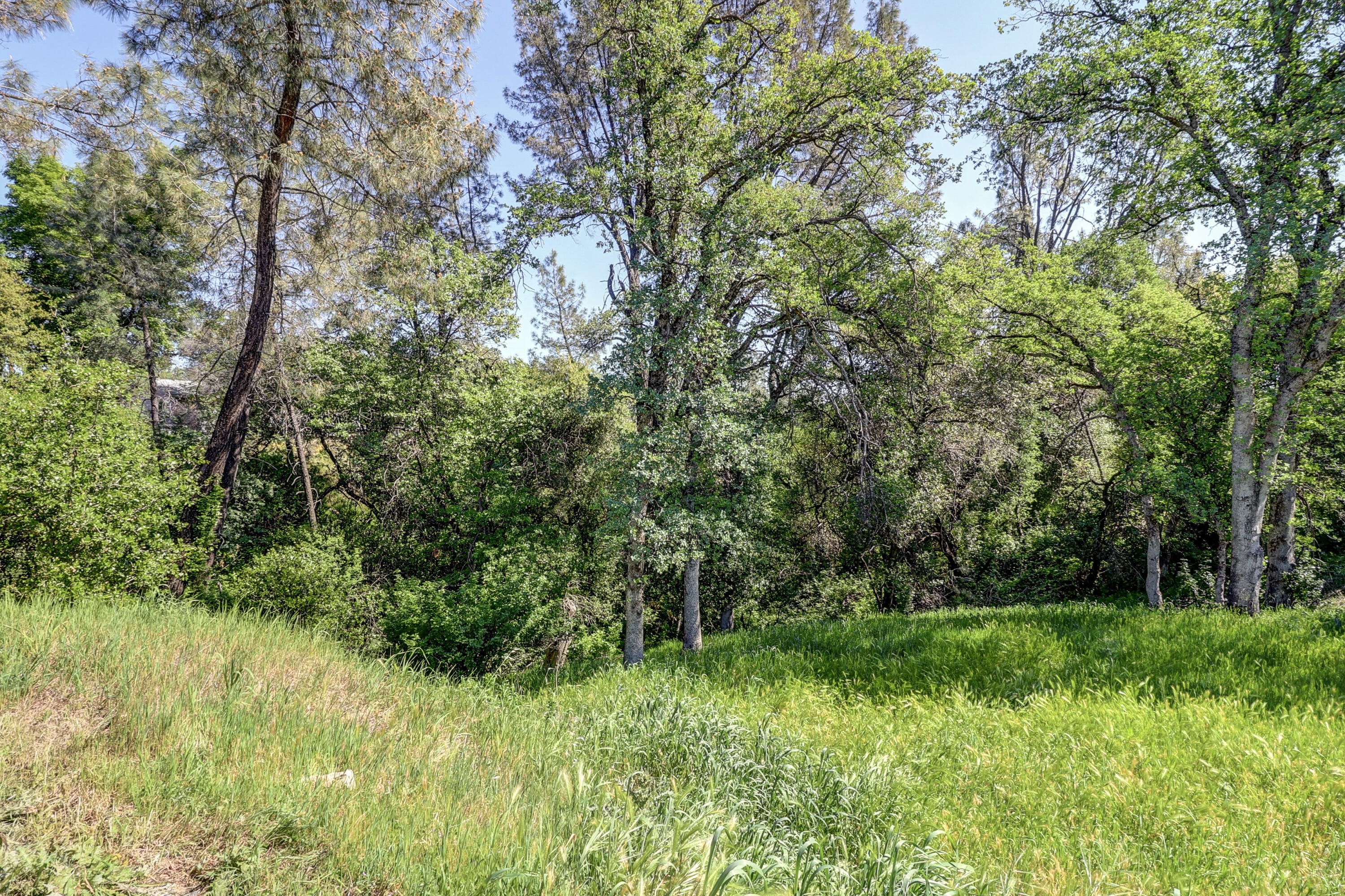 4525 Enchanted Way Redding, CA 96001 - Photo 29 of 30 30-IMG_1735_6_7_8_9