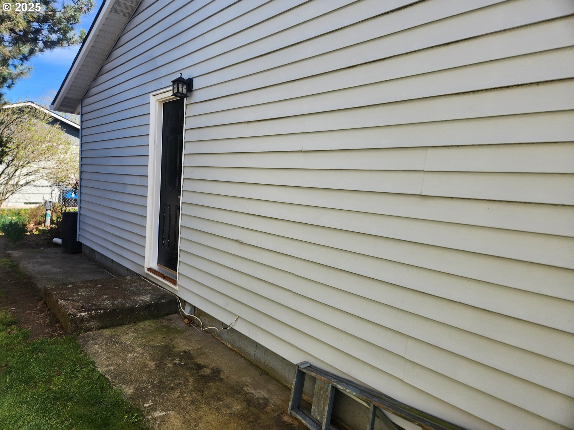 2207 Oregon Court Woodburn, OR 97071 - Photo 17 of 27 a view of a backyard