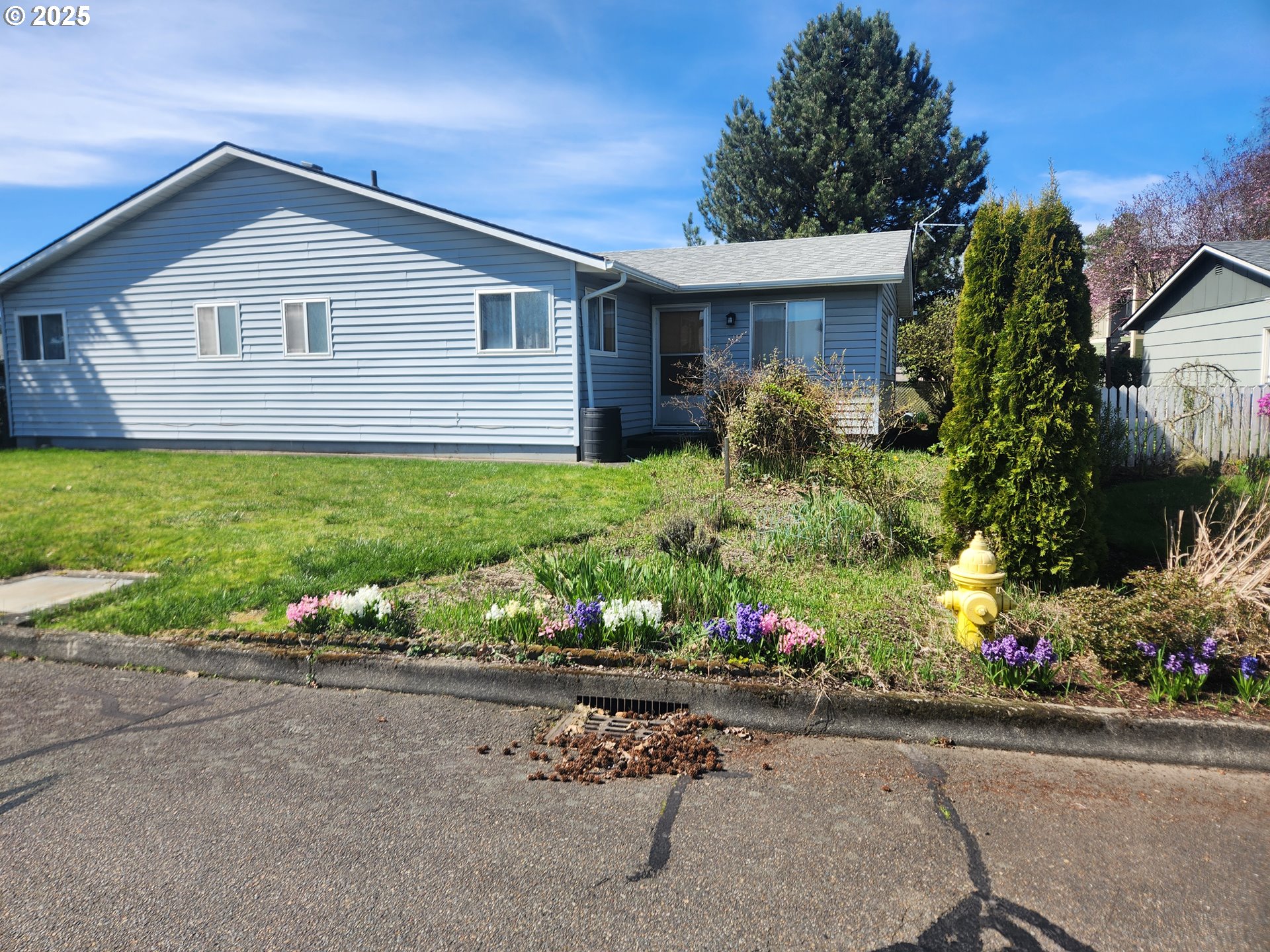 2207 Oregon Court Woodburn, OR 97071 - Photo 19 of 27 front view of a house and a yard