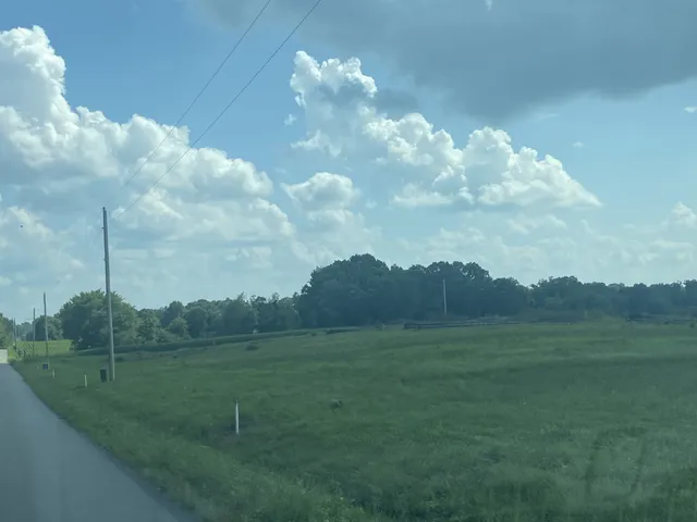 a view of a grassy field