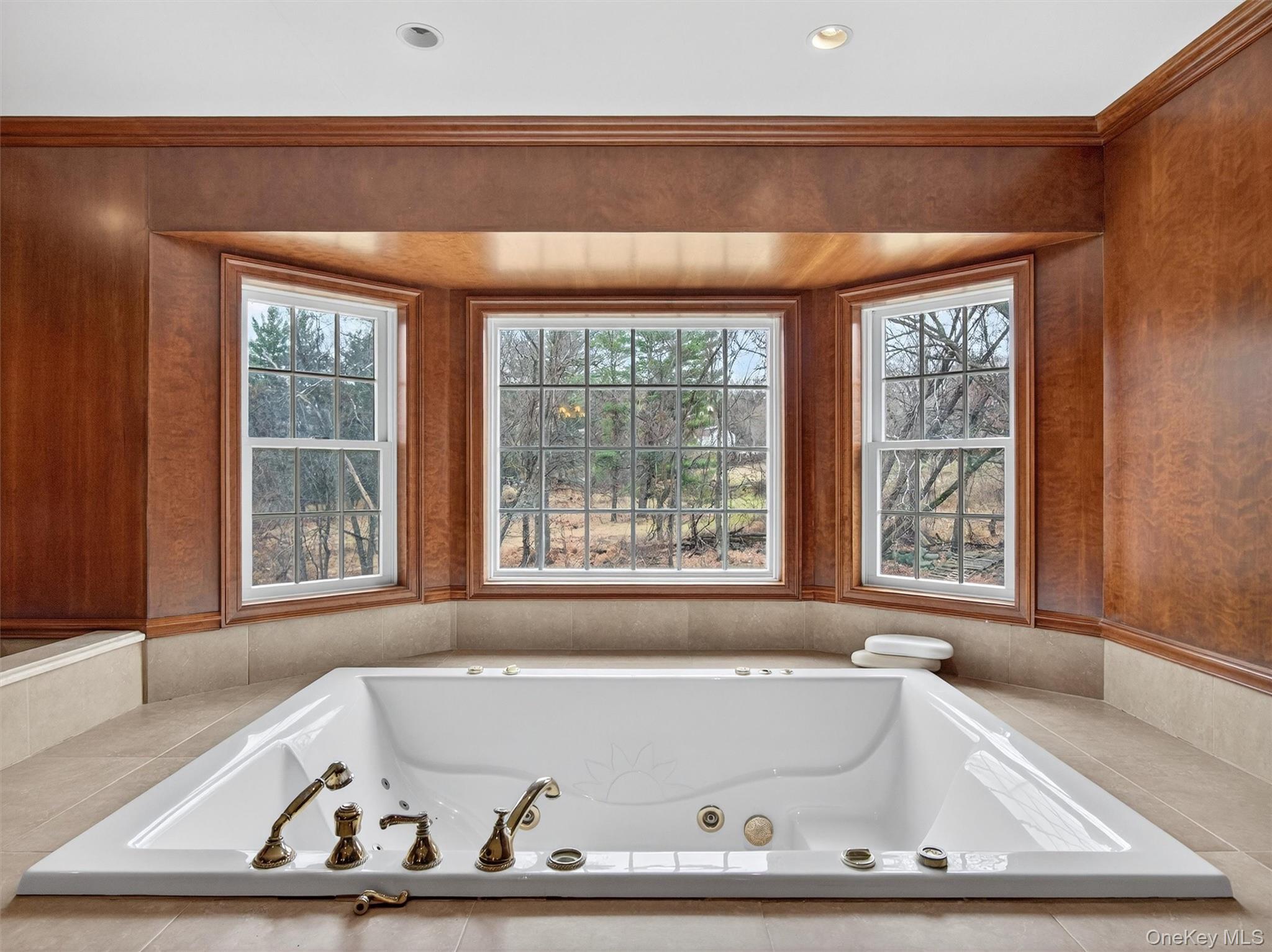 120 East Willow Tree Road Spring Valley, NY 10977 - Photo 23 of 49 Full bath featuring a whirlpool tub and healthy amount of natural light