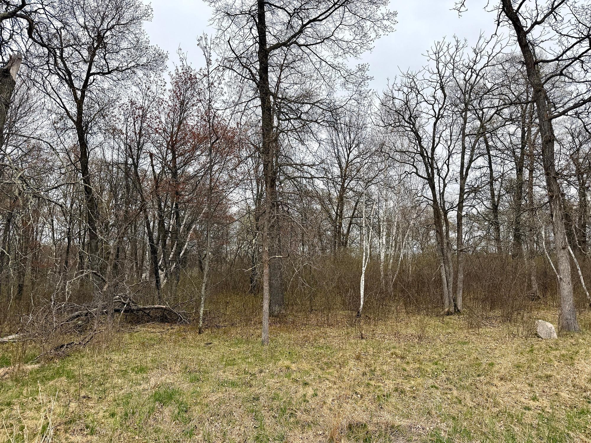 L18-b1 L18-b1 Acorn Ridge Road Northwest Bemidji, MN 56601 - Photo 1 of 4