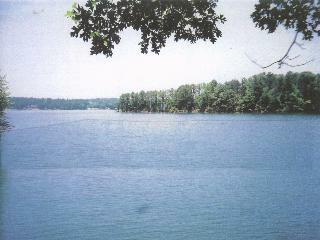 3 Plantation Point Anderson, SC 29625 - Photo 1 of 1 Gallery Image 1