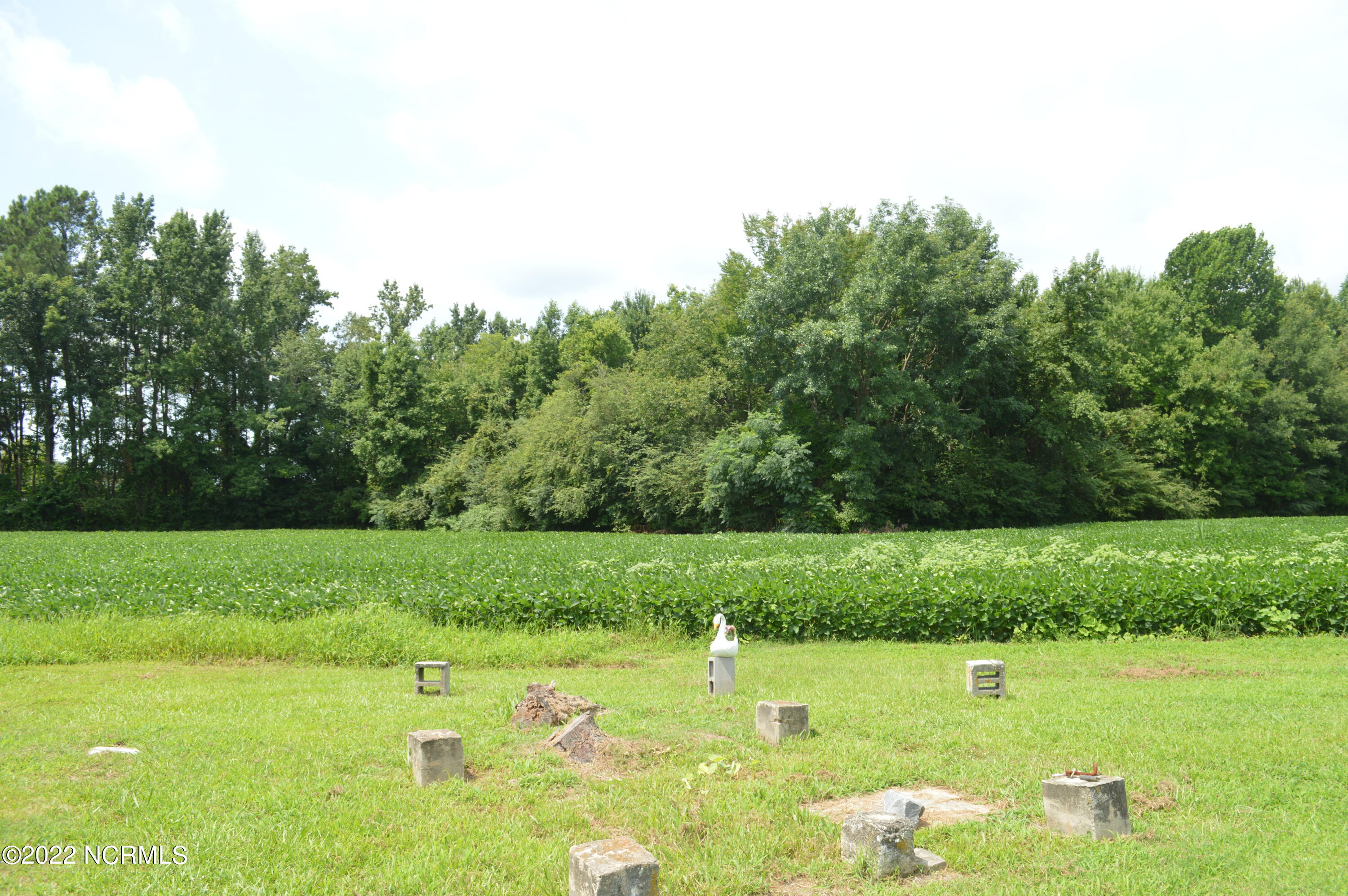 2817 Causey Road Kinston, NC 28501 - Photo 15 of 22 DSC_0145