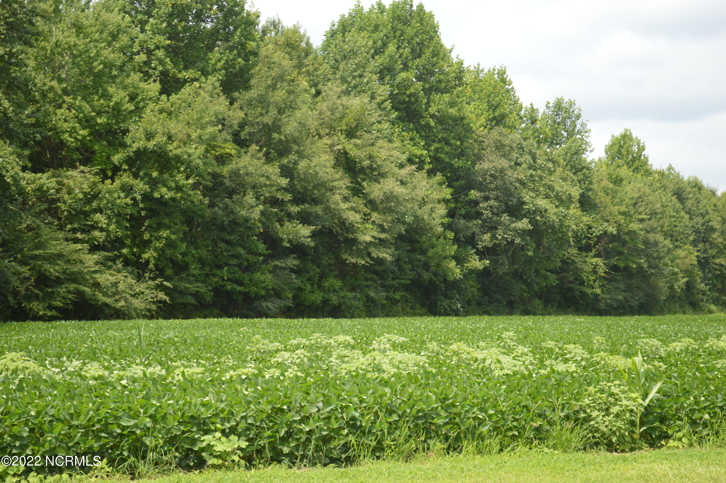 2817 Causey Road Kinston, NC 28501 - Photo 17 of 22 DSC_0147