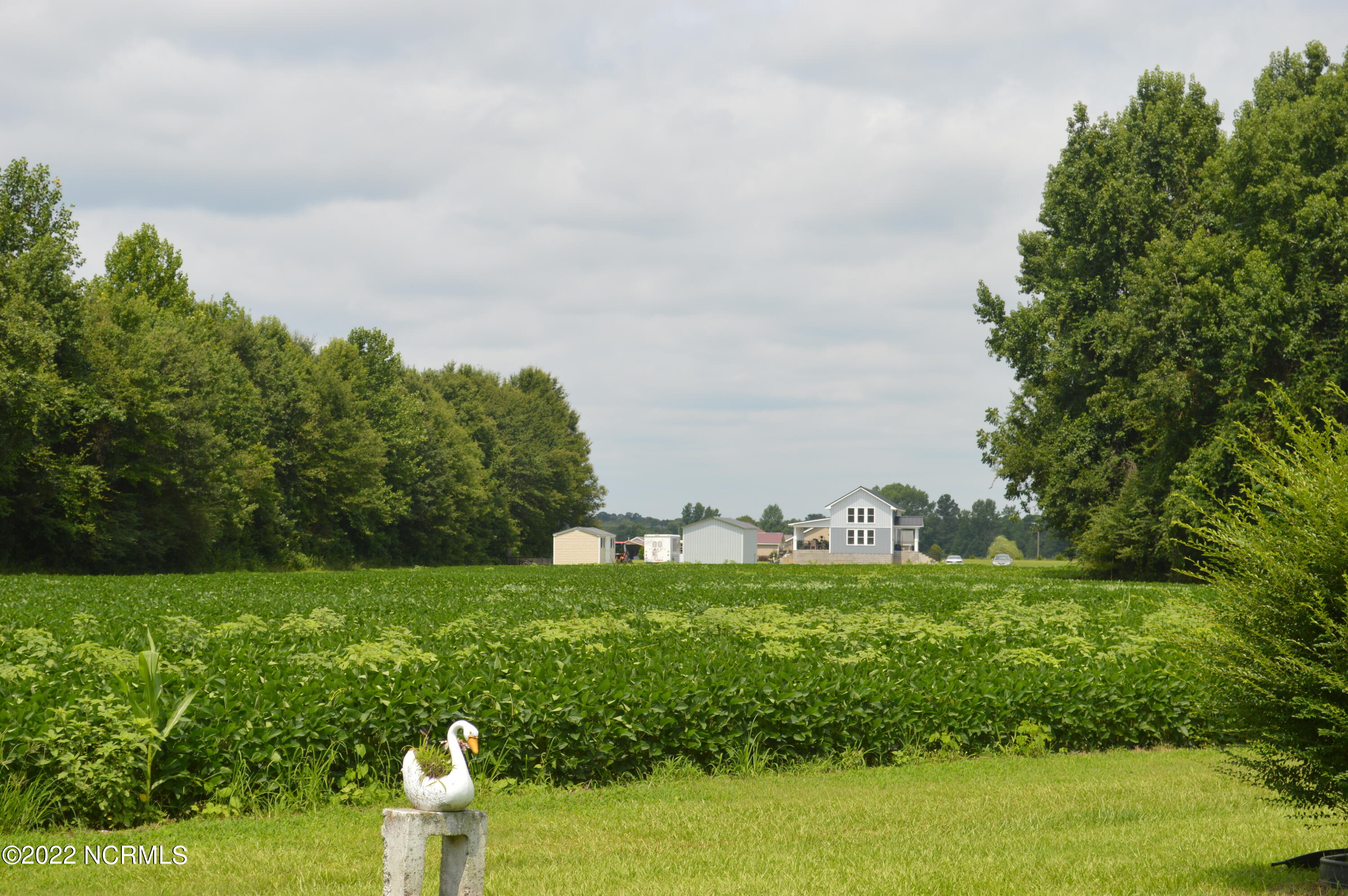 2817 Causey Road Kinston, NC 28501 - Photo 18 of 22 DSC_0148