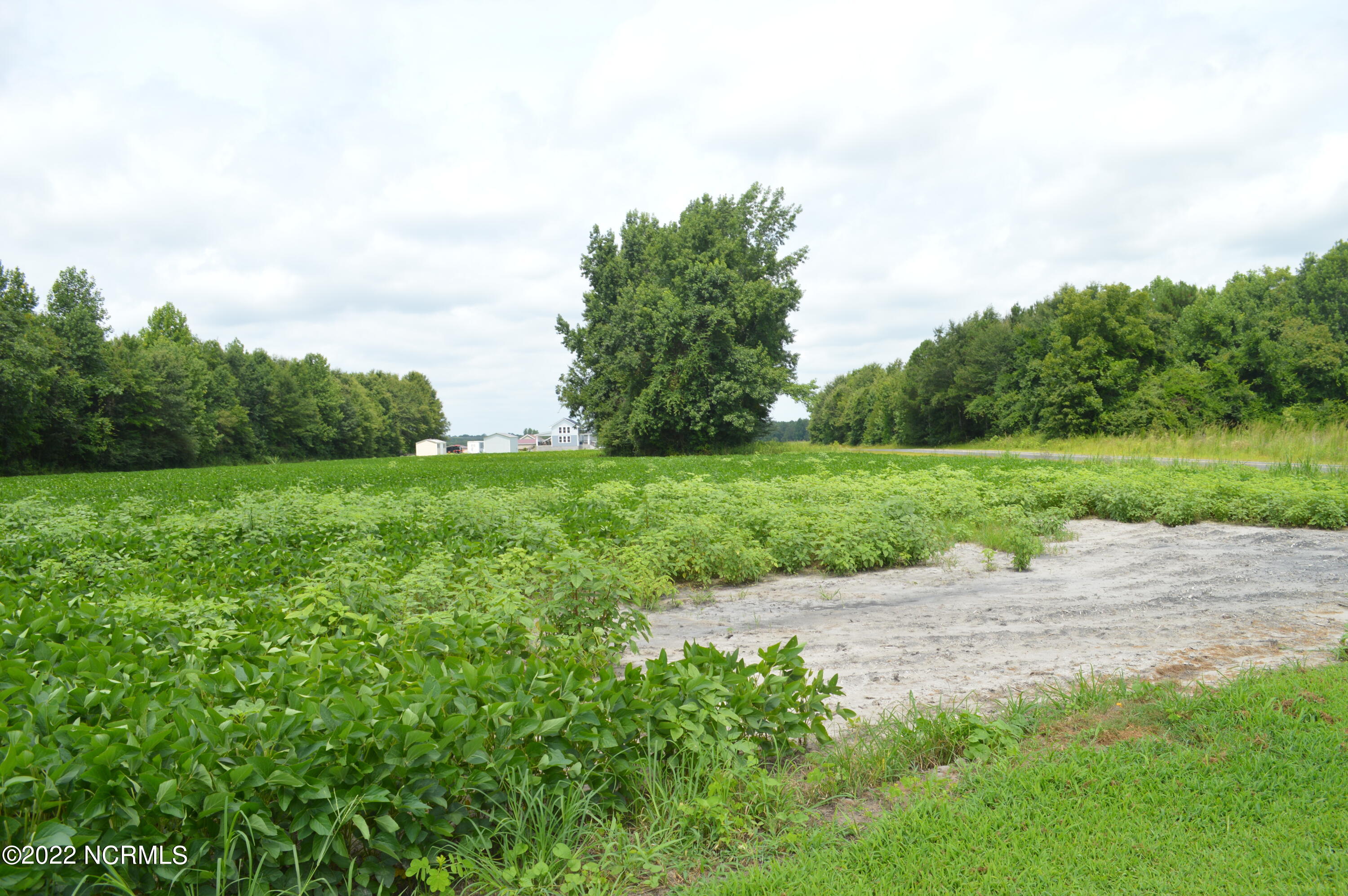 2817 Causey Road Kinston, NC 28501 - Photo 19 of 22 DSC_0152
