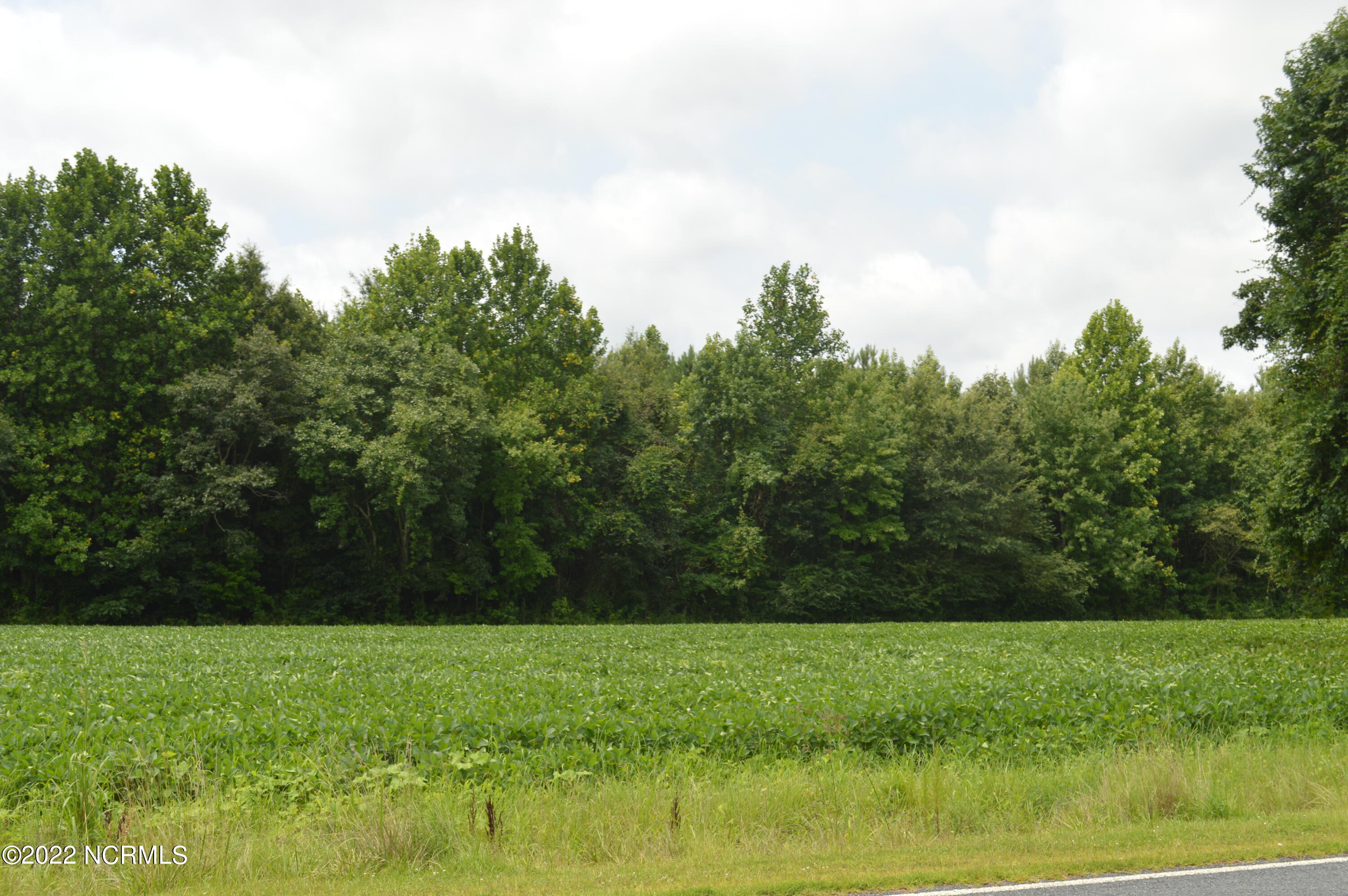 2817 Causey Road Kinston, NC 28501 - Photo 20 of 22 DSC_0155