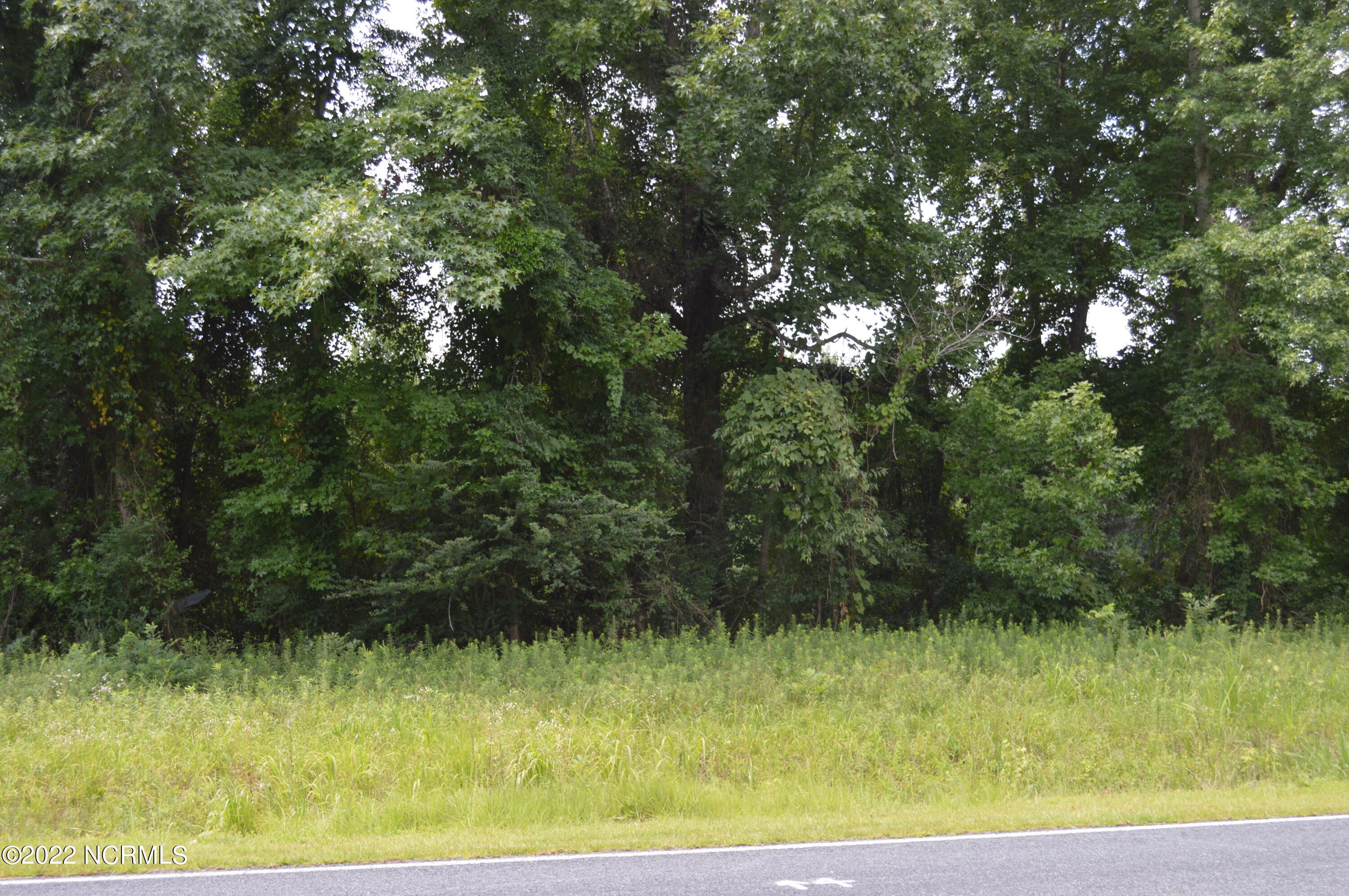 2817 Causey Road Kinston, NC 28501 - Photo 21 of 22 DSC_0156