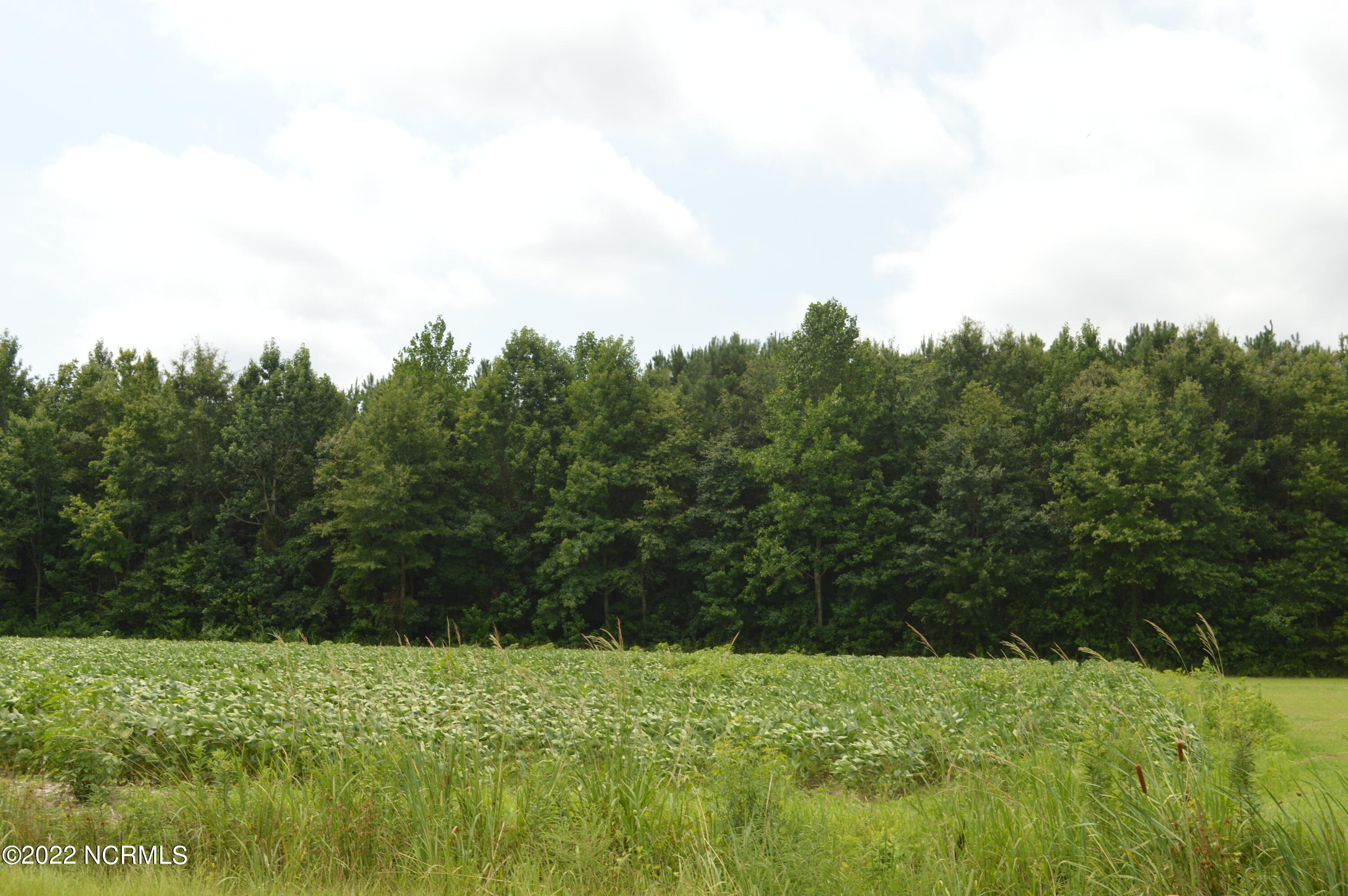 2817 Causey Road Kinston, NC 28501 - Photo 22 of 22 DSC_0160