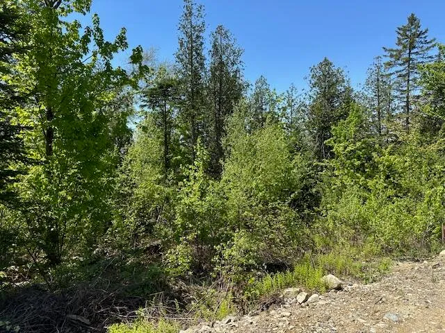 $79,000 | Lot 12 Mt Jefferson Heights, Lee, ME 04455