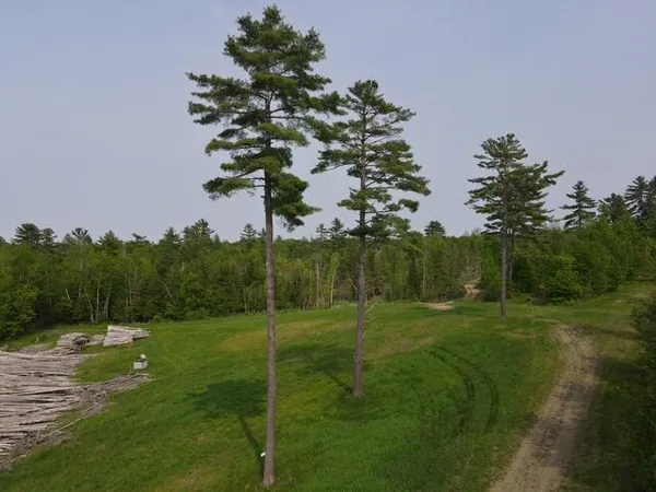 $69,000 | Lot 12 Mt Jefferson Heights, Lee, ME 04455