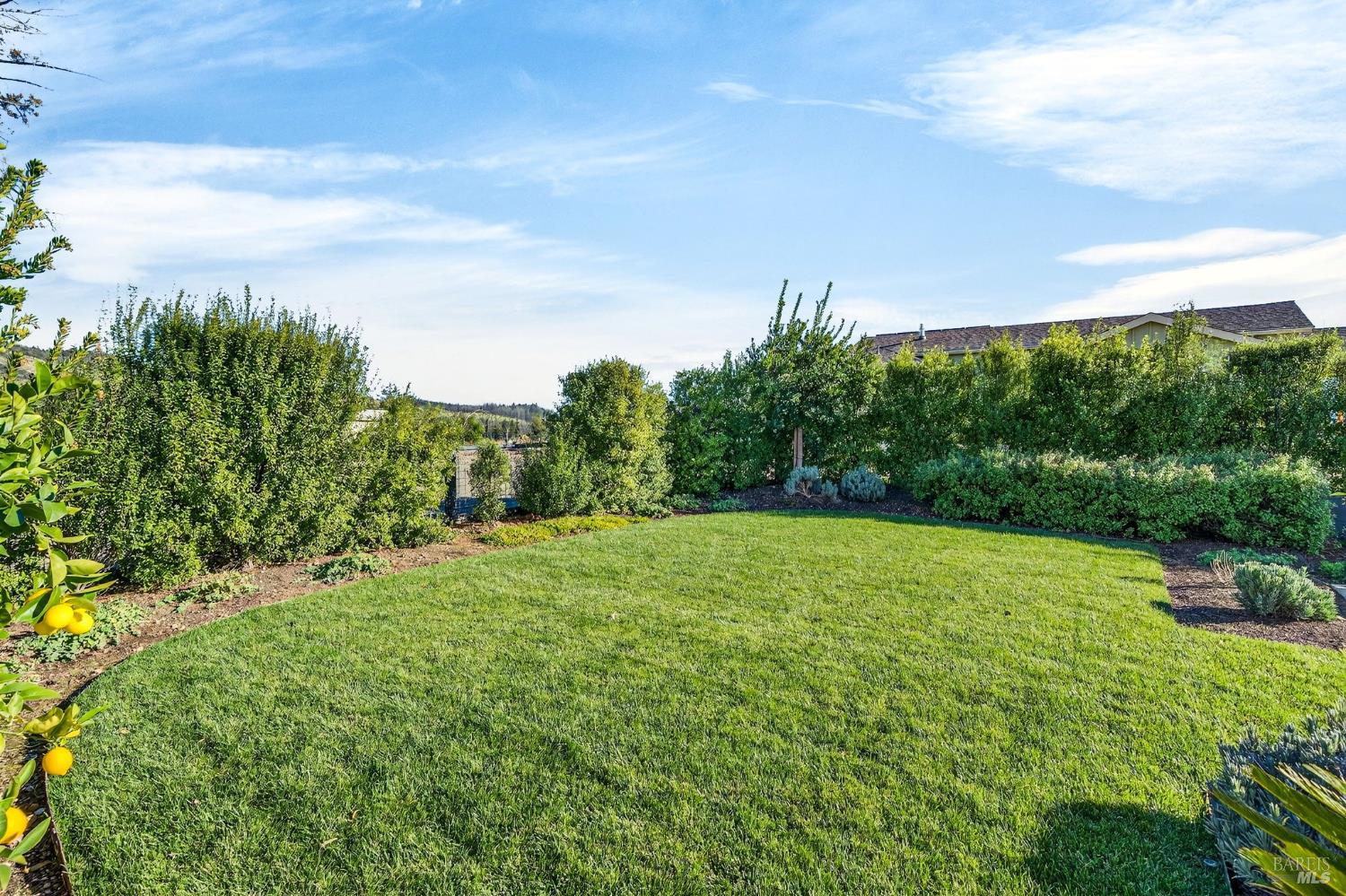 16 Upland Road St. Helena, CA 94574 - Photo 78 of 92