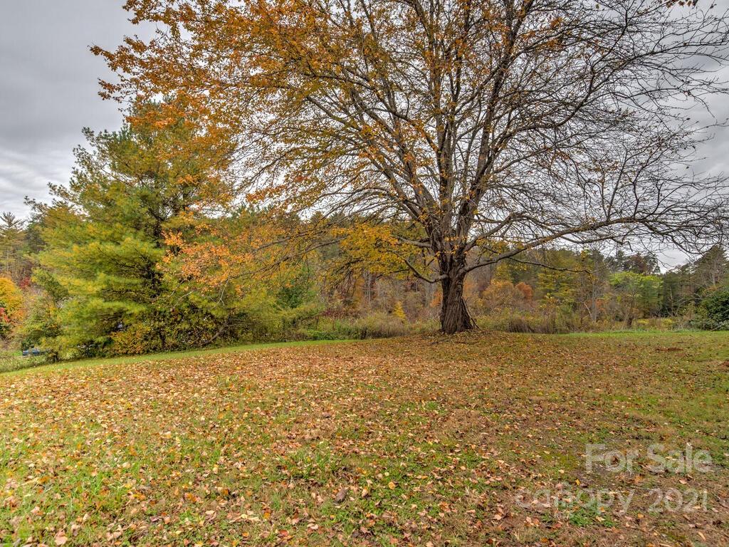 250 McLean Road Weaverville, NC 28787 - Photo 17 of 21 Gallery Image 17