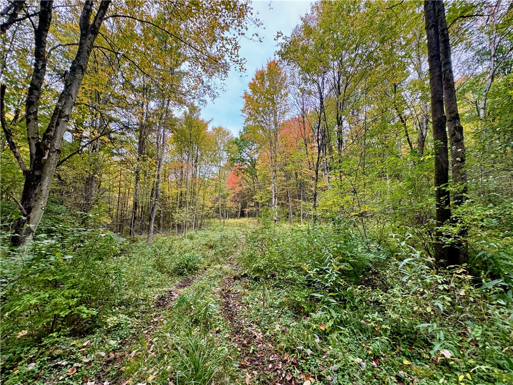 Gallop Hill Road Walton, NY 13856 - Photo 25 of 48 Trail