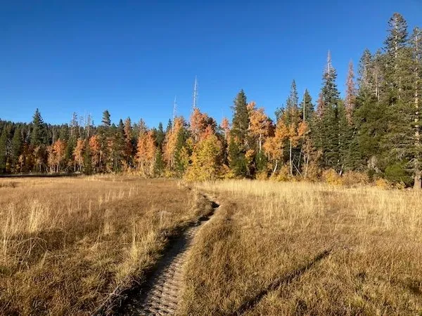 $1,950,000 | 960 Ward Creek Boulevard, Tahoe City, CA 96145