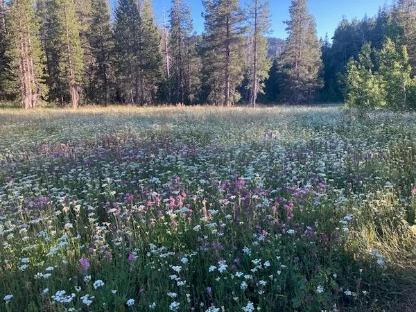 $1,950,000 | 960 Ward Creek Boulevard, Tahoe City, CA 96145