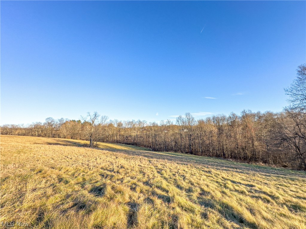 Repik Road Bethesda, OH 43719 - Photo 11 of 25 Gallery Image 11