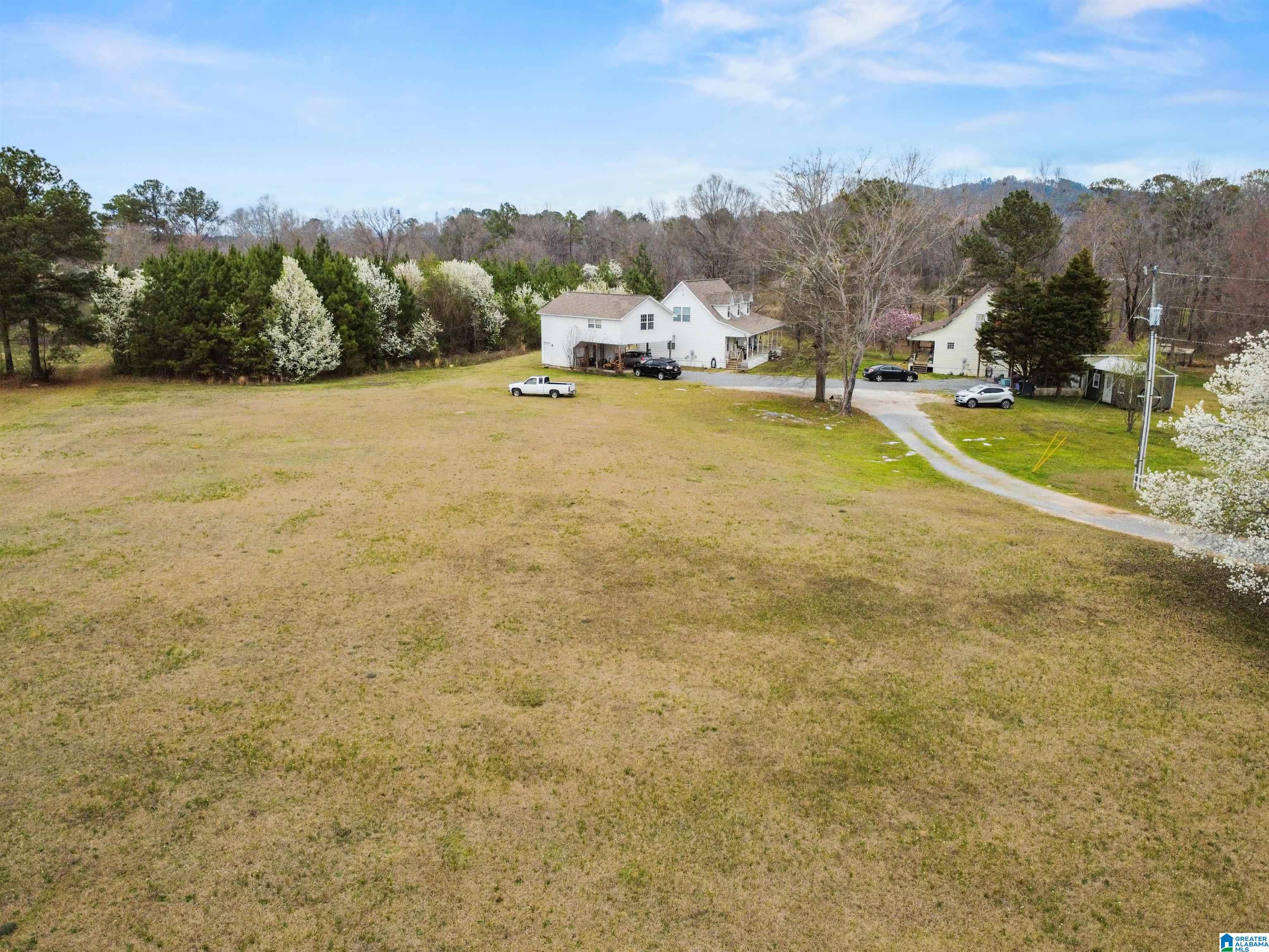 198 Heasletts Road Childersburg, AL 35044 - Photo 34 of 43