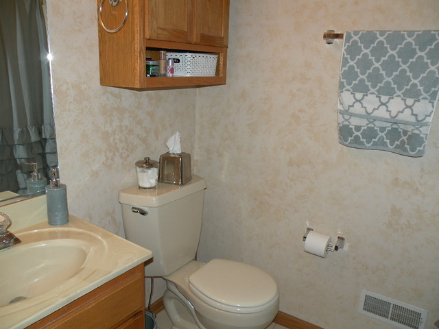 18136 Rita Road, Unit 3A Tinley Park, IL 60477 - Photo 12 of 13