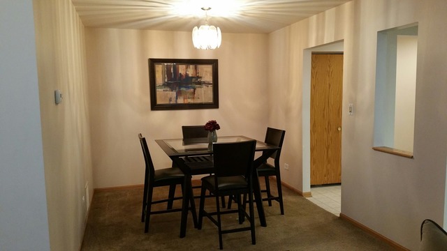 18136 Rita Road, Unit 3A Tinley Park, IL 60477 - Photo 6 of 13