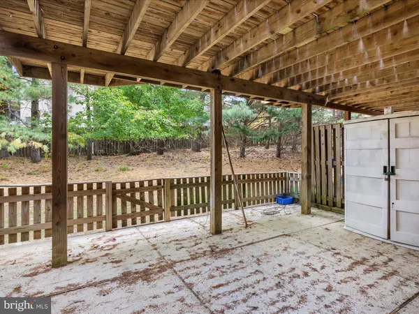 a view of a backyard with a large tree