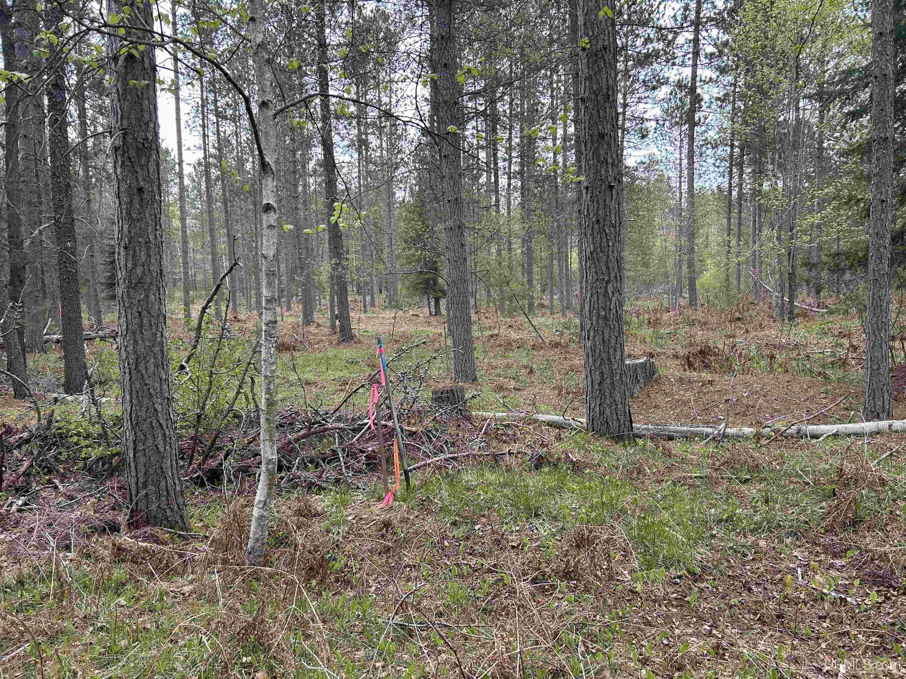 Tbd Parcel 1 Paint River Road Crystal Falls, MI 49920 - Photo 2 of 8