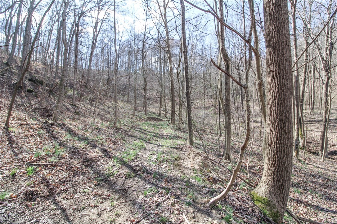 Elk Run Road New Matamoras, OH 45767 - Photo 12 of 27 View of local wilderness