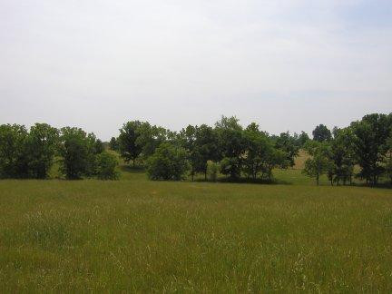 570 Anderson Road, Unit B 1 Georgetown, KY 40324 - Photo 14 of 15 Photo 14