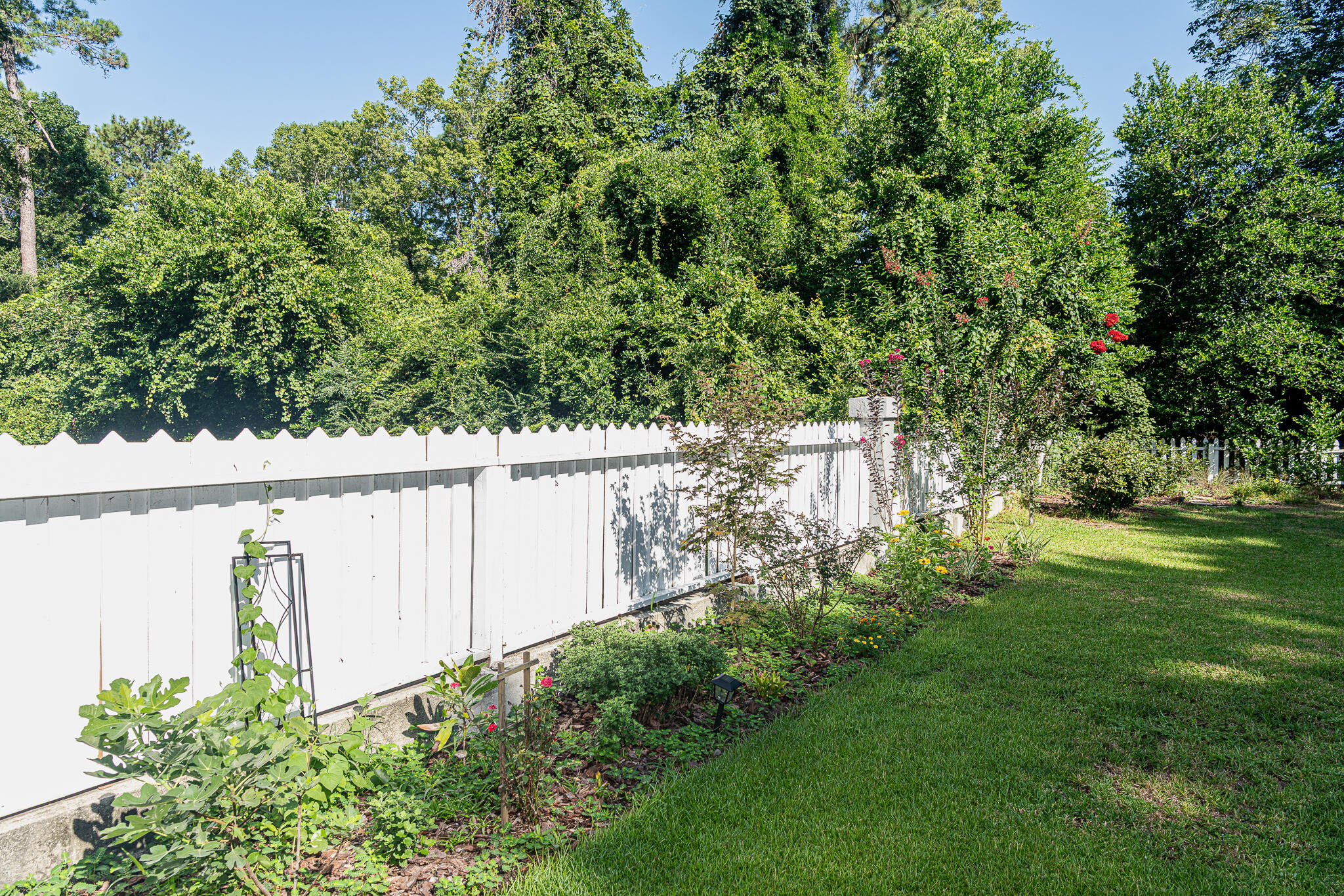 1023 Plantation Court Mount Pleasant, SC 29464 - Photo 7 of 18 1023 Plantation Court-15
