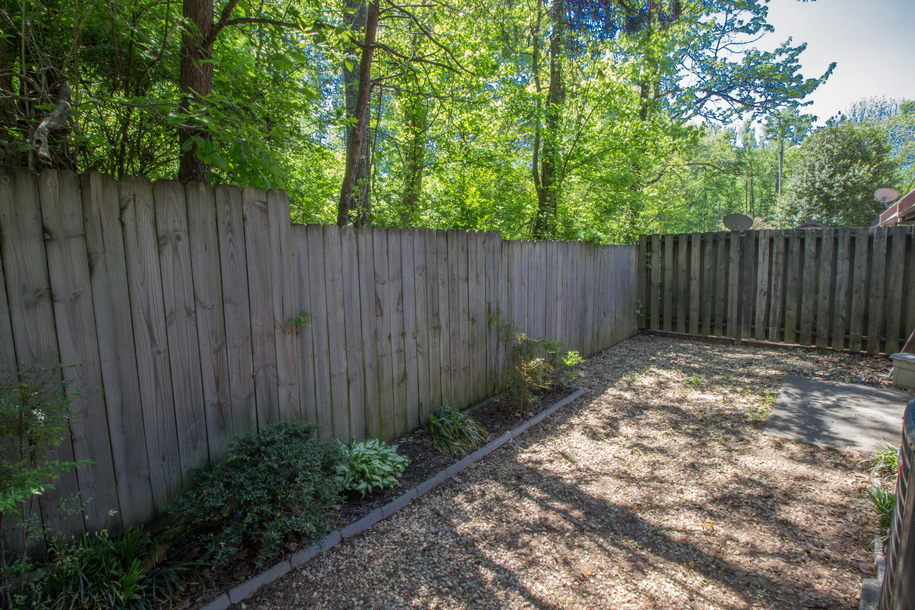 2702 Sood Road, Unit 4 Knoxville, TN 37921 - Photo 3 of 17 IMG_0055