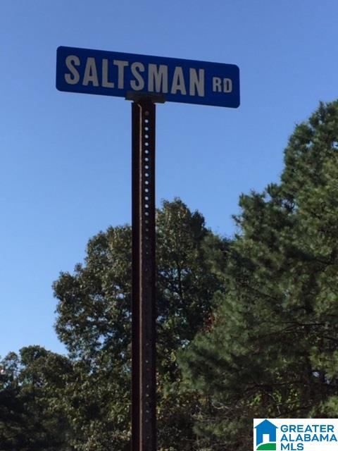 280 Saltsman Road, Unit 80± ACRES Alexander City, AL 35010 - Photo 14 of 17