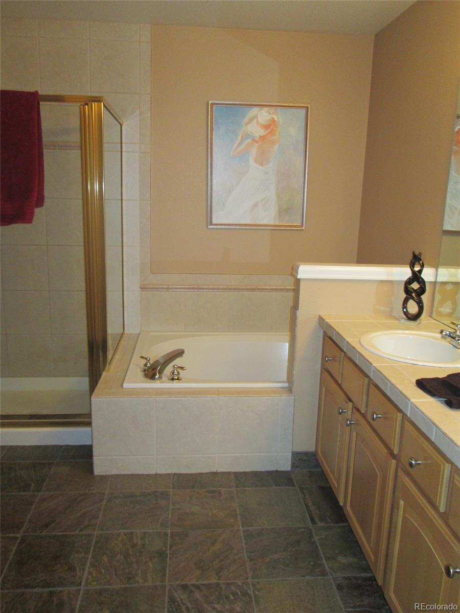 6537 Trailhead Road Highlands Ranch, CO 80130 - Photo 17 of 25