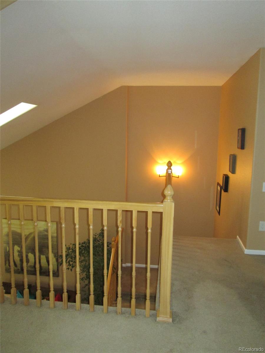 6537 Trailhead Road Highlands Ranch, CO 80130 - Photo 23 of 25
