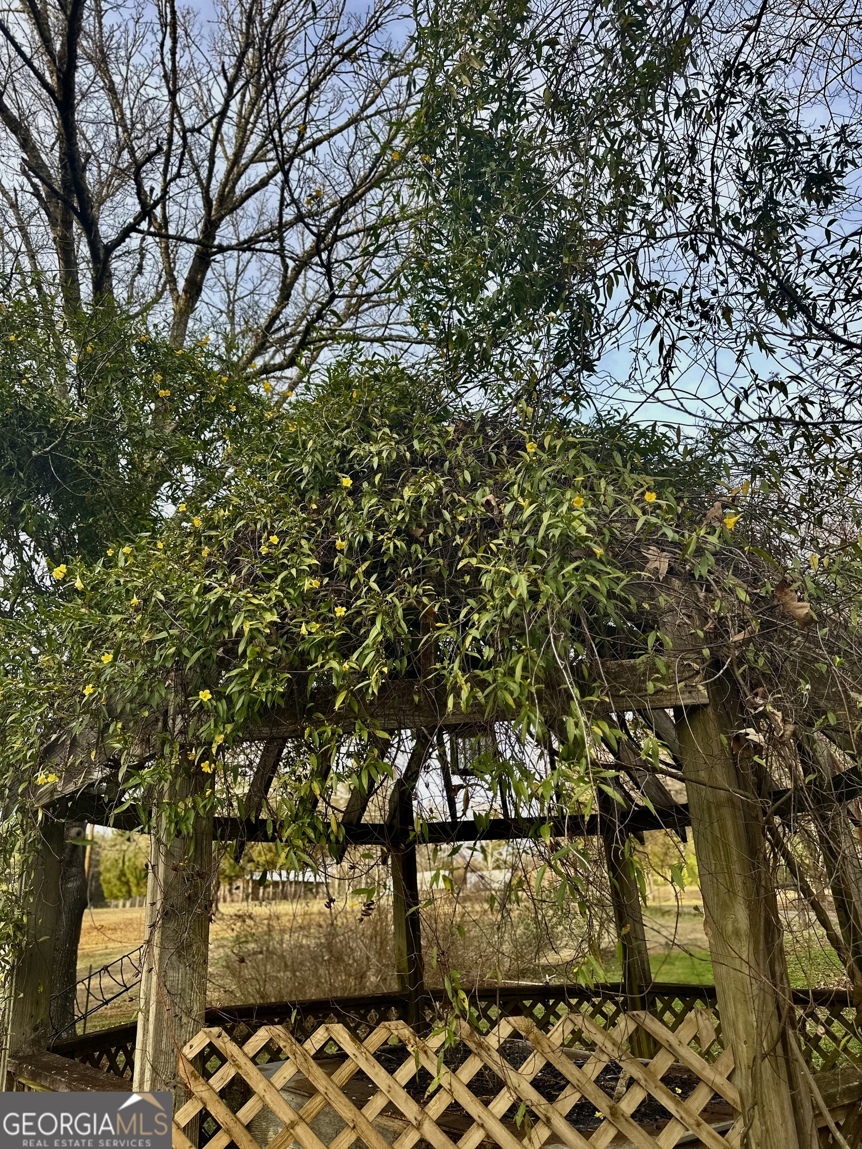 229 Meadows Road Newborn, GA 30056 - Photo 51 of 54