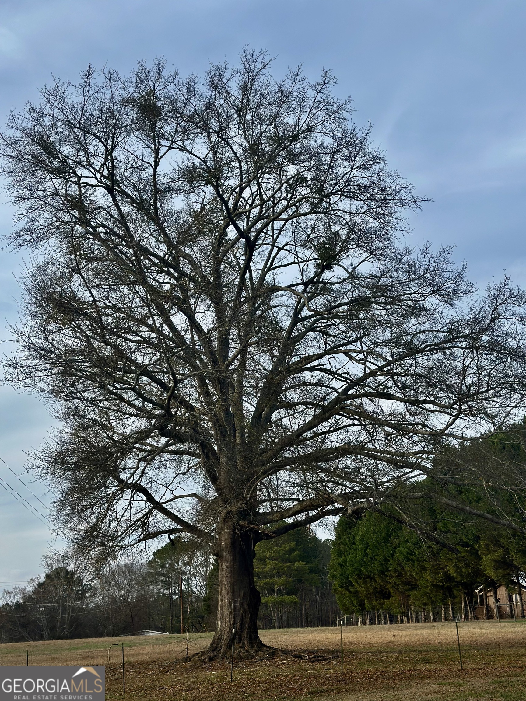 229 Meadows Road Newborn, GA 30056 - Photo 52 of 54