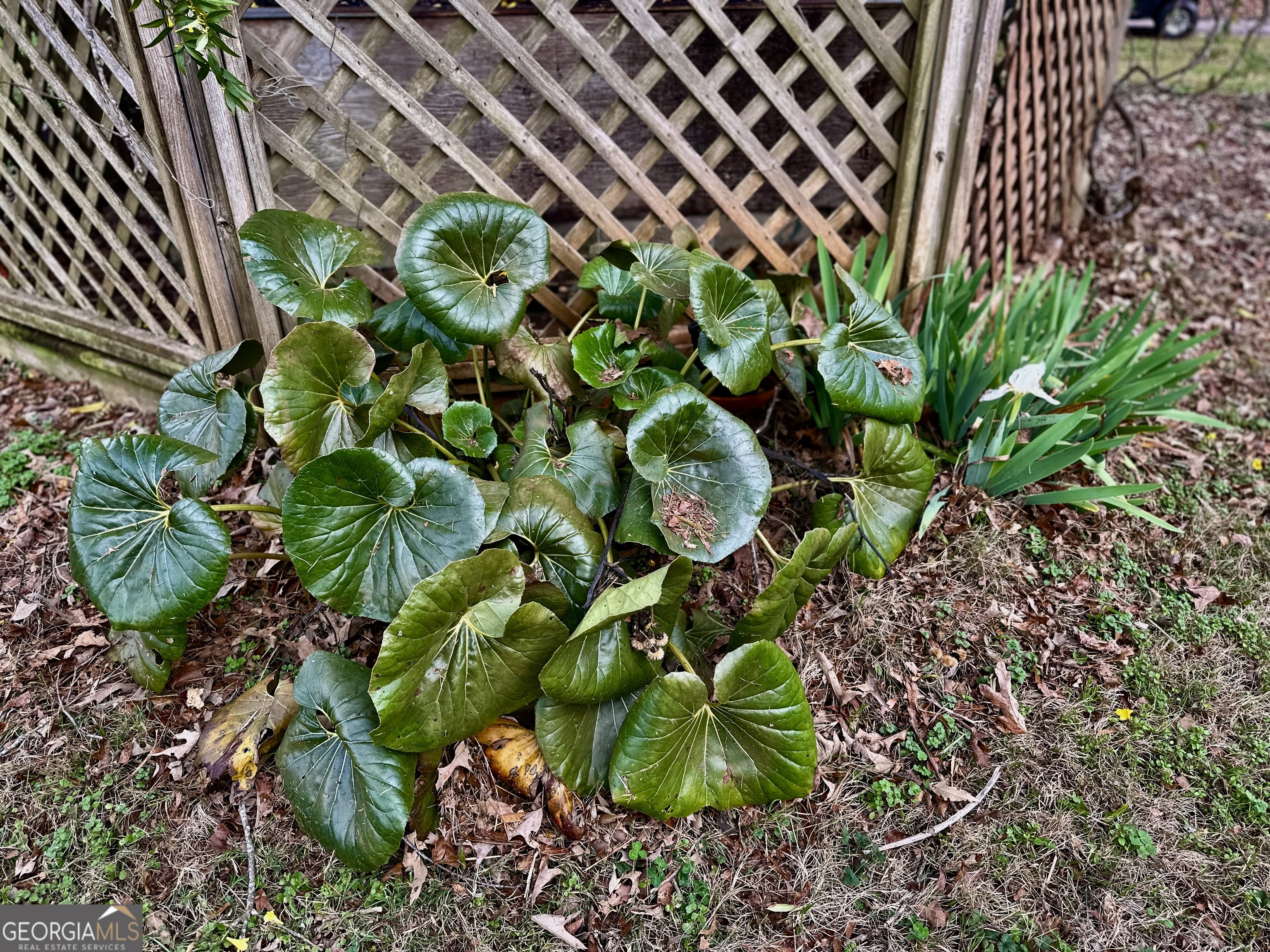 229 Meadows Road Newborn, GA 30056 - Photo 53 of 54