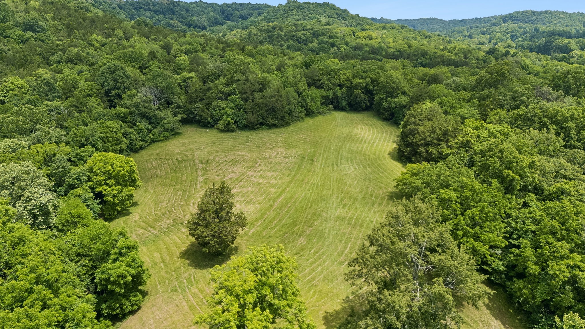 2865 Springplace Road Belfast, TN 37019 - Photo 63 of 75