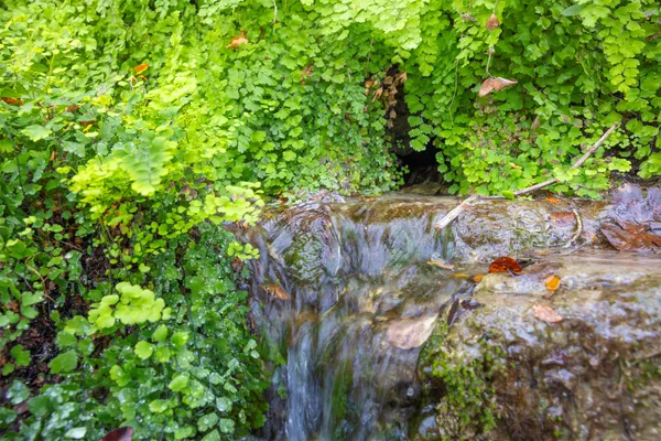 a view of a city with an ocean