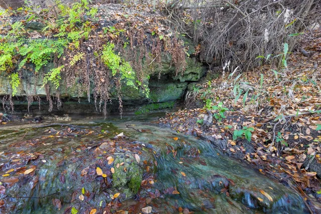 an aerial view of houses covered in trees