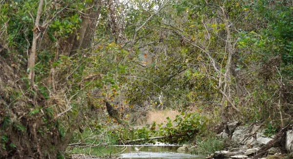 $1,995,000 | 0 River Run, Leander, TX 78641