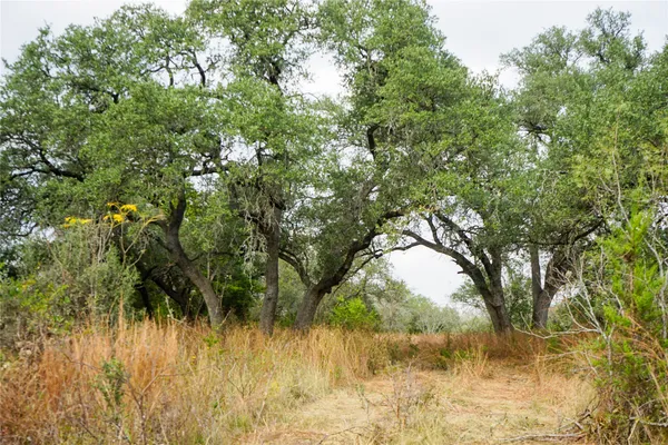 $1,995,000 | 0 River Run, Leander, TX 78641