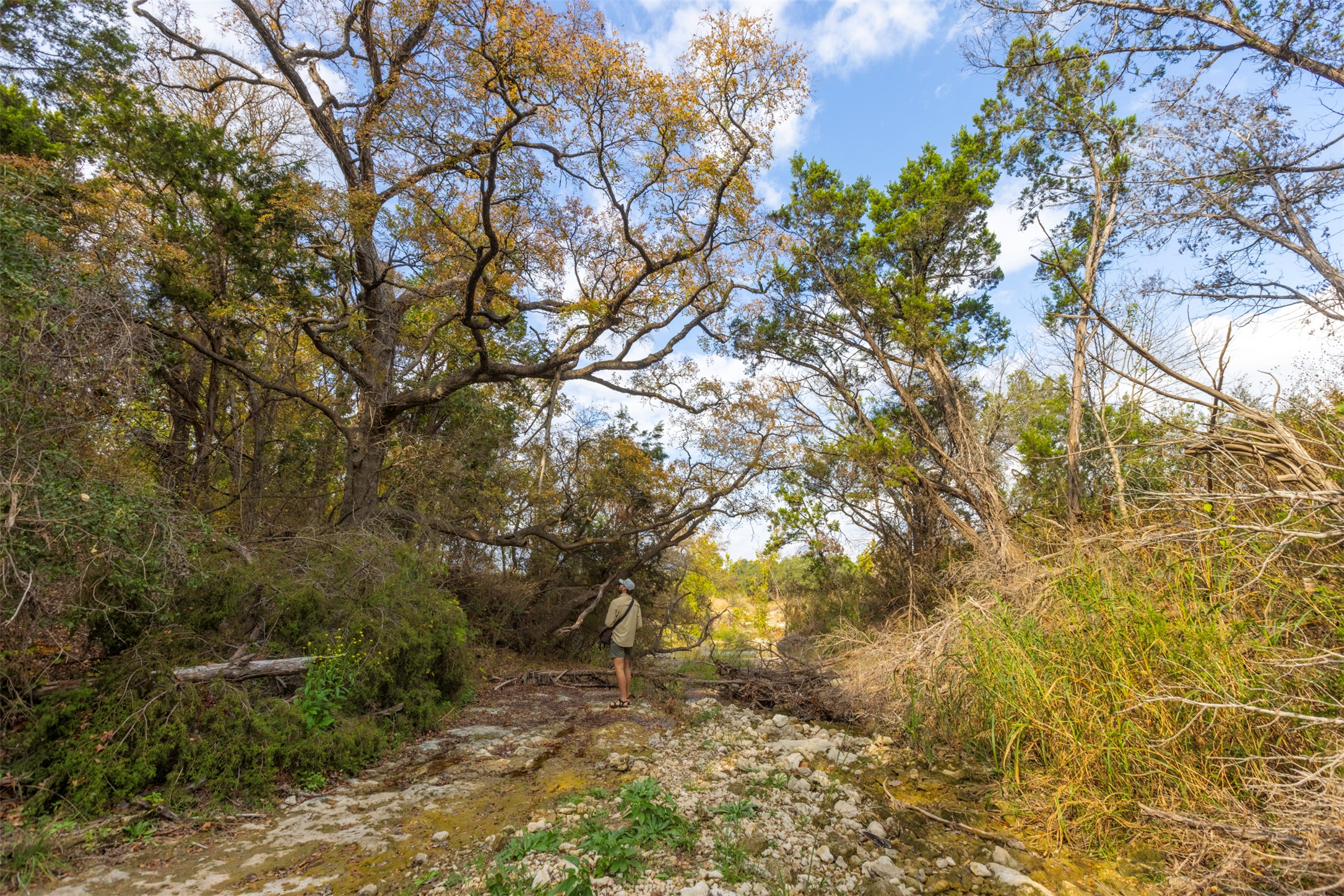 0 River Run Leander, TX 78641 - Photo 6 of 34 a view of under tree