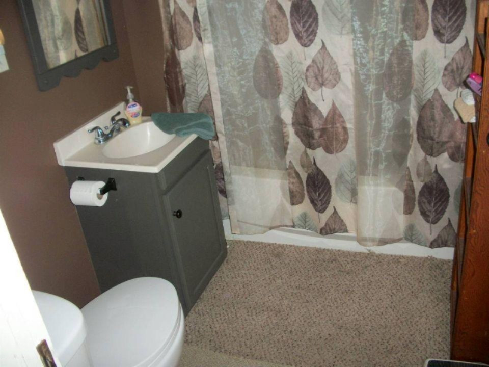 119 South Hooker Avenue Three Rivers, MI 49093 - Photo 5 of 11 119SHookerBath