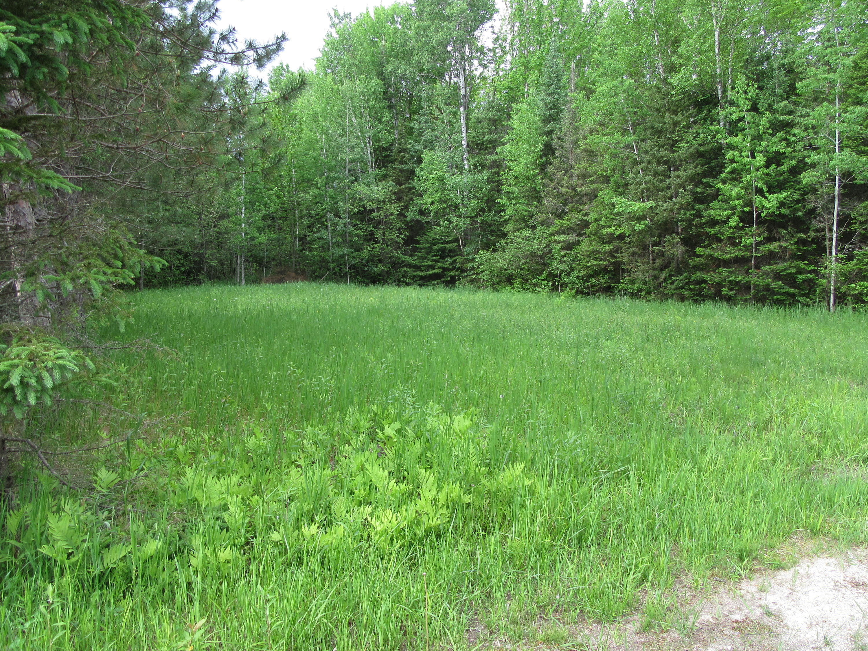 18325 South Sullivan Creek Road Rudyard, MI 49780 - Photo 2 of 30 Gallery Image 2