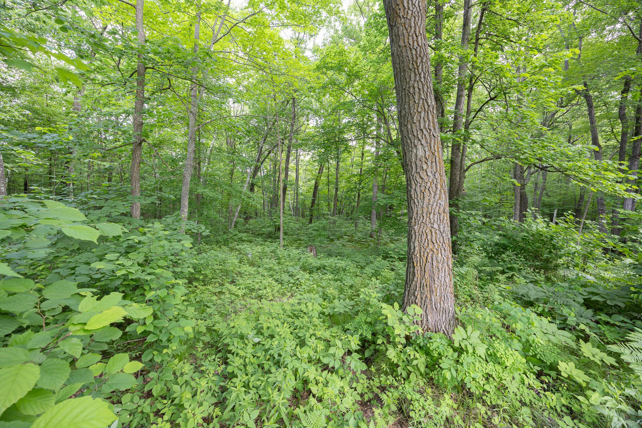 2251 Fahrenholz Road Northeast Longville, MN 56655 - Photo 40 of 62