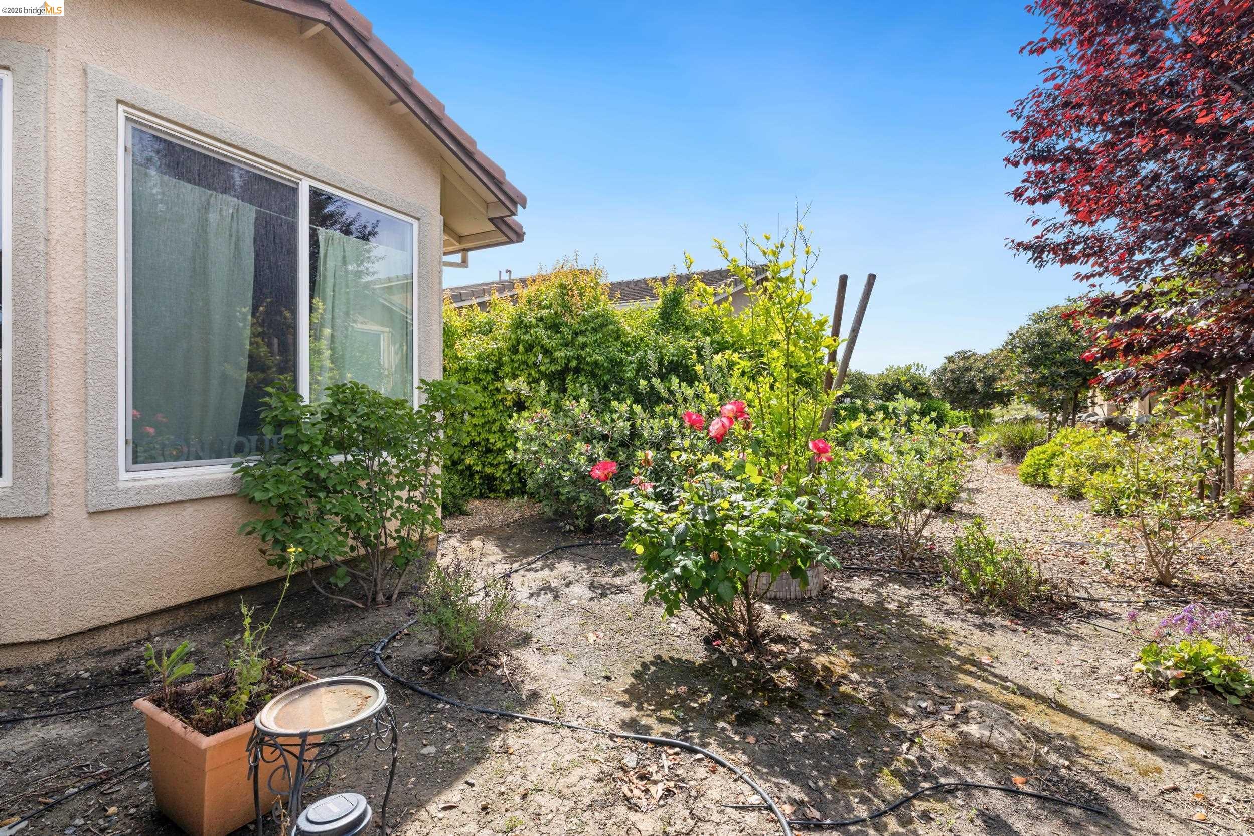 331 Kestrel Way Rio Vista, CA 94571 - Photo 25 of 32