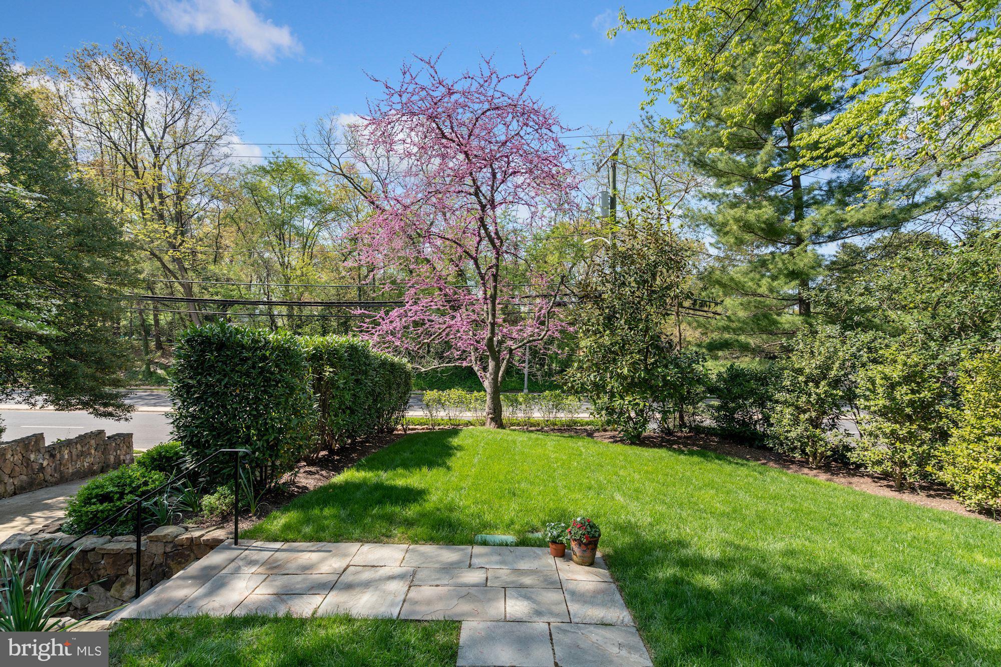 3931 North Glebe Road Arlington, VA 22207 - Photo 4 of 38 Front Lawn