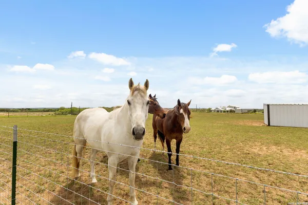 $1,185,000 | 2431 Farm To Market Road 467, Seguin, TX 78155